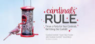 PROMO Cardinal Confetti 2501P