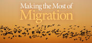 EDU Migration 1809E
