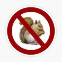 no squirrels