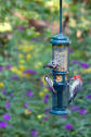 Brome_Peanut_Plus_WBNuthatch_RBWP_Chickadee